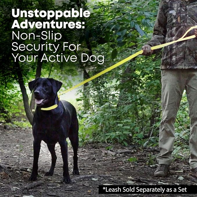 Regal Dog Products Medium Yellow Waterproof Dog Collar and Leash Set | Heavy Duty Double Buckle & D Ring - 5'ft Leash | Adjustable Biothane Dog Collar | Chew Resistant Waterproof Collar for Dogs