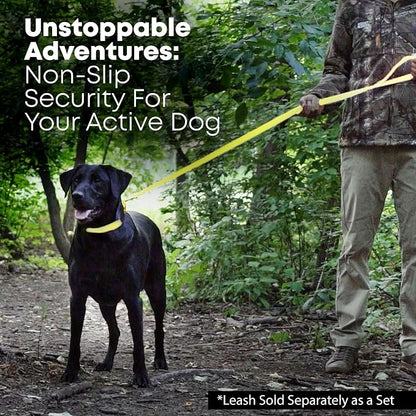 Regal Dog Products Medium Yellow Waterproof Dog Collar and Leash Set | Heavy Duty Double Buckle & D Ring - 5'ft Leash | Adjustable Biothane Dog Collar | Chew Resistant Waterproof Collar for Dogs