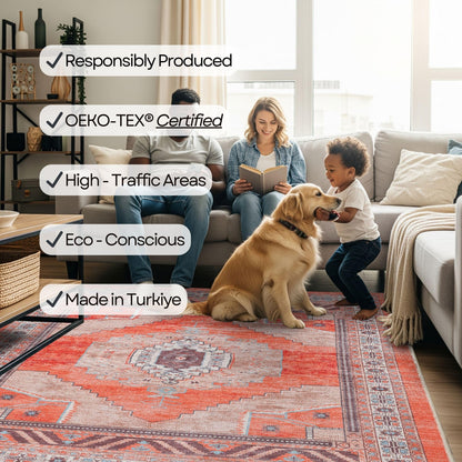 Fame Rugs Turkish Rug. Washable Vintage Oriental Antique Inspired Traditional Doormat Small Modern Area Rugs Luxury Entryway Entry Bedroom Bathroom Kitchen (380TT, 2'5 x 6'9)
