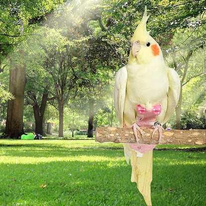 2Pcs Bird Diapers Bird Harness Flight Suits Diapers with 80 Inch Flying Leash Parrot Nappy Washable Cute Urine Wet Suit for Cockatiel Conure Macaw Budgies Parakeet-Rabbit&Watermelon,S