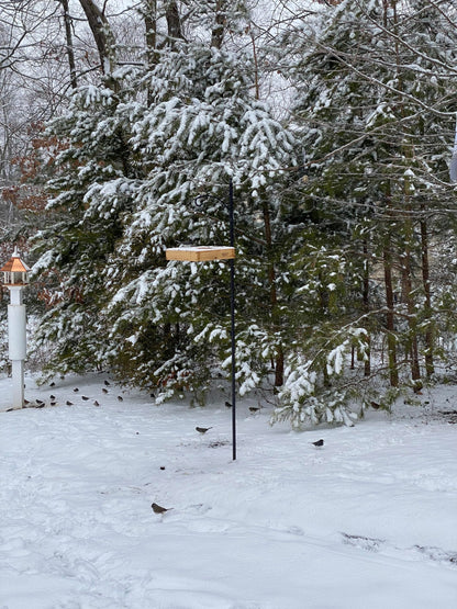 Rocky Mountain Goods Wood Bird Feeder Tray for Outside - 12" Hanging Platform Feeder for Cardinals, Jays - Universal Seed Tray with Drainage - Easy to Fill & Clean - Durable Pine + Rust-Free Hardware