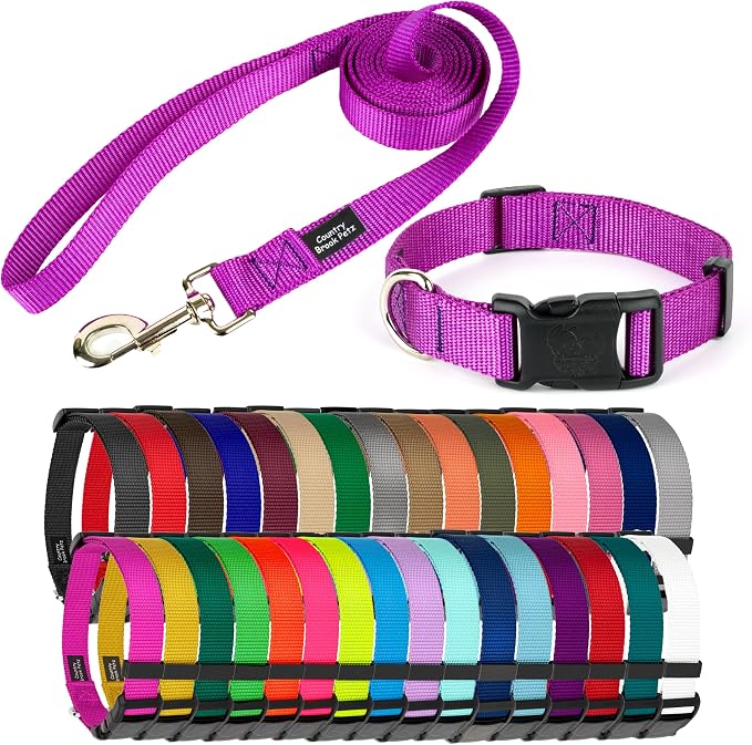Country Brook Petz - Everyday Nylon Dog Collar and Leash - 10+ Cool Colors (1 Inch, Extra Large, Bright Purple)