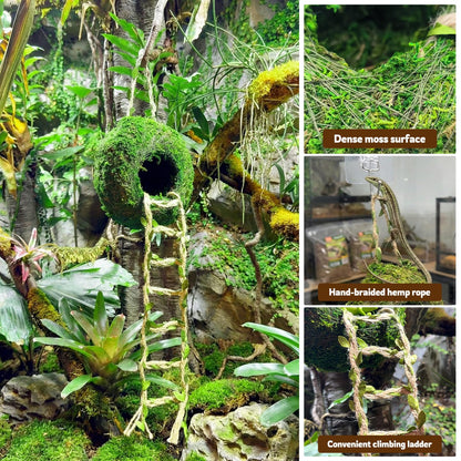 Moss Cave Hideout with Hanging Rope & Hemp Climbing Ladder – Natural Reptile Tank Decor Accessories for Crested Geckos, Chameleons, Tree Frogs, Leopard Geckos & Snakes. Terrarium & Vivarium Decor (4")