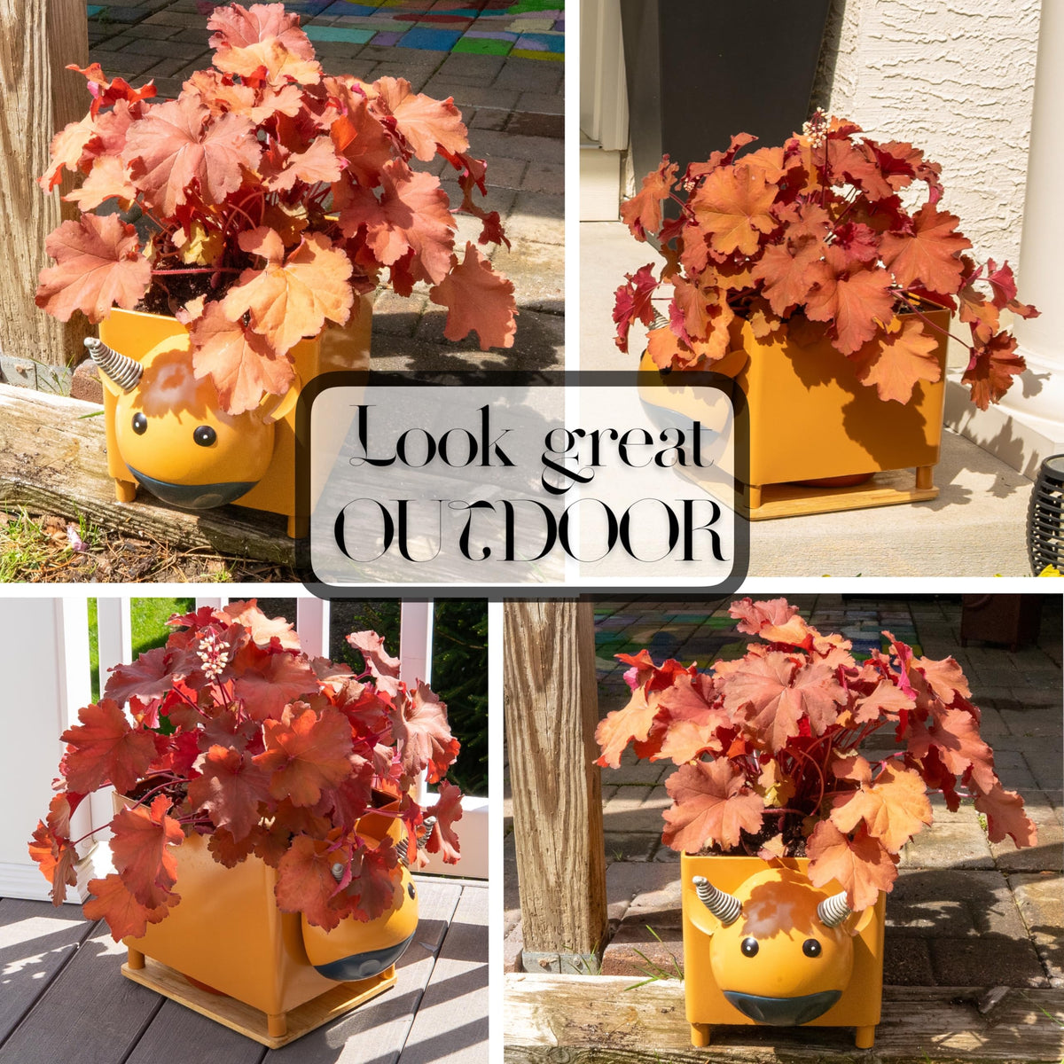 Made Easy Kit Animal Planter Box – Metal Plant Pot with Drainage, Drip Tray & Wooden Base – Indoor Outdoor Cute Garden & Yard Décor - All Weather Durable (Cow)