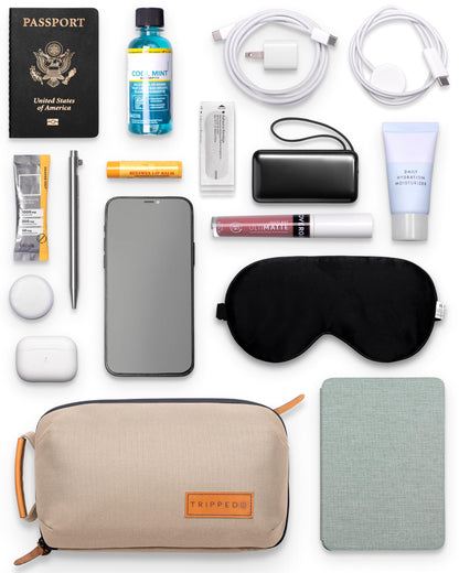 Tech Bag Organizer - Small Electronics Organizer Pouch for Travel - Premium Travel Case with Leather Accents - Mesh Pocket for Cables, Cords and Chargers (Tan)