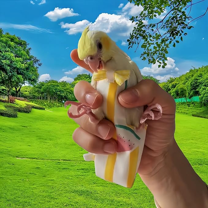 2Pcs Bird Diapers Bird Harness Flight Suits Diapers with 80 Inch Flying Leash Parrot Nappy Washable Cute Urine Wet Suit for Cockatiel Conure Macaw Budgies Parakeet-Kitten&Watermelon,S