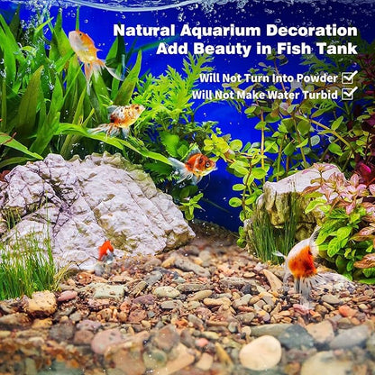 WDEFUN Aquarium Gravel River Rock, Natural Polished Mixed Colorful Stones, 10 LBS, for Plant Aquariums, Landscaping, Vase Filler