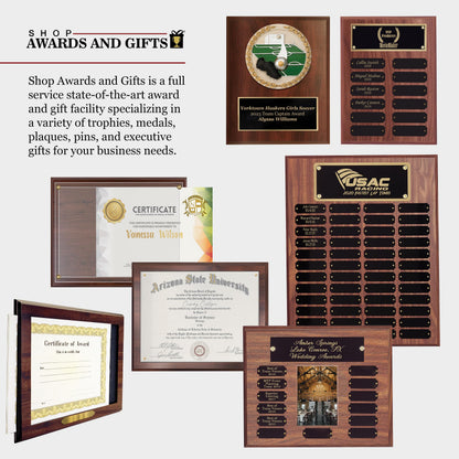 SHOP AWARDS AND GIFTS 12 x 16 Inch Perpetual Plaque Award Multiple Name Plate Board for Employee Appreciation, Recognition, Achievement, Walnut Finish with Black and Gold Header, 24 Name Plates