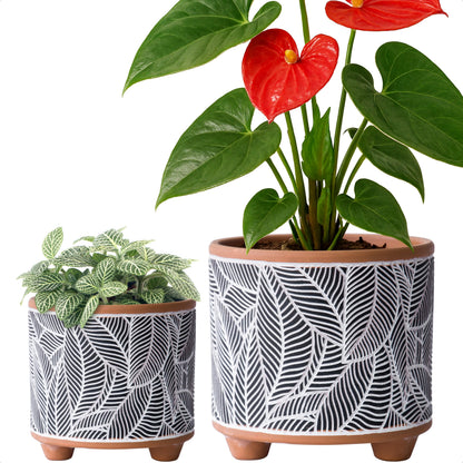 D'vine Dev Set of 2 Terracotta Planter Pots, 4 Inch & 6 Inch, Design Plants Pot with Drainage Hole, Monsoon Jungle, Terracotta/Black, 31-953-H-2