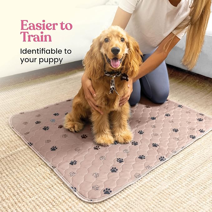 Super Absorbent Washable Pee Pads for Dogs - 2-Pack Superior Reusable Puppy Pads Pet Training Pads –100% Waterproof Dog Pee Pad Protects Against Urine Leakage Non-Slip Grip Prevents Slipping& Bunching