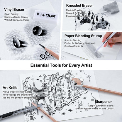 KALOUR 29 Pro Sketching Drawing Pencils Set with Roll-Up Nylon Case – 14 Graphite Pencils (14B–5H), Charcoal Pencils, Erasers, Sharpener & Stumps – Complete Art Kit for Artists & Beginner