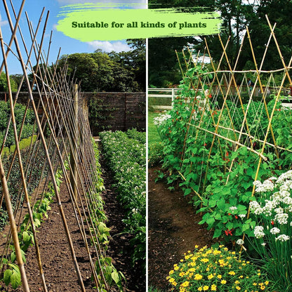 Jollybower 1/2" D 4 Feet Bamboo Stakes 50 Pack, Thicker Heavy-Duty Plant Stakes, Natural Garden Stakes for Bean, Tomato, Bean, Flowers,Trees Potted and Climbing Plant Support