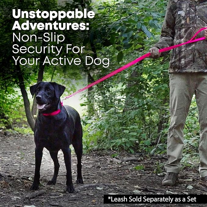 Regal Dog Products Large Pink Waterproof Biothane Dog Collar and Leash Set | Heavy Duty Double Buckle & D Ring - 5'ft Leash | Adjustable, Chew Resistant Collar for Dogs