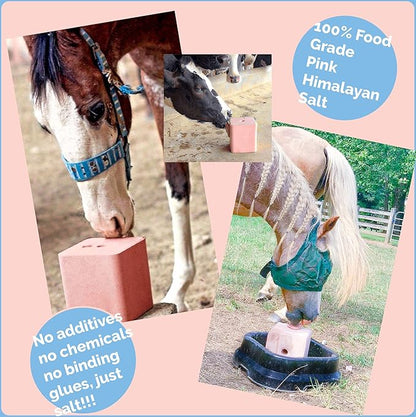 Salt Block for Deer & Horses – Compressed Mineral Salt Lick for Livestock, Cattle & Goats – Himalayan Secrets Pink Rock Salt Block (22LB/10KG, Block w/ Mounting Hole)