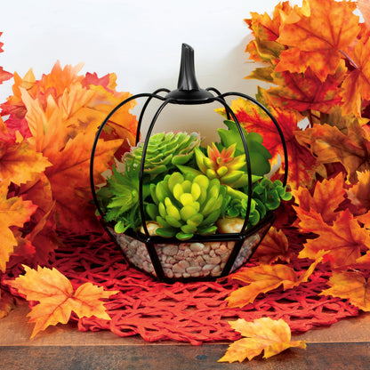 Thanksgiving Table Centerpiece - Pumpkin Glass Terrarium (7x7x8)- Rustic Fall Tabletop Decor - Artificial Pumpkin for Home, Kitchen, Office Decorations- Autumn Plant Garden Display- Black Trim Planter