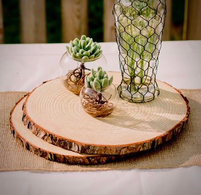 Set of 10 Large Wood Slices (11-13”) – Rustic Wooden Rounds for Wedding Centerpieces, Event Decor, and Table Centerpieces