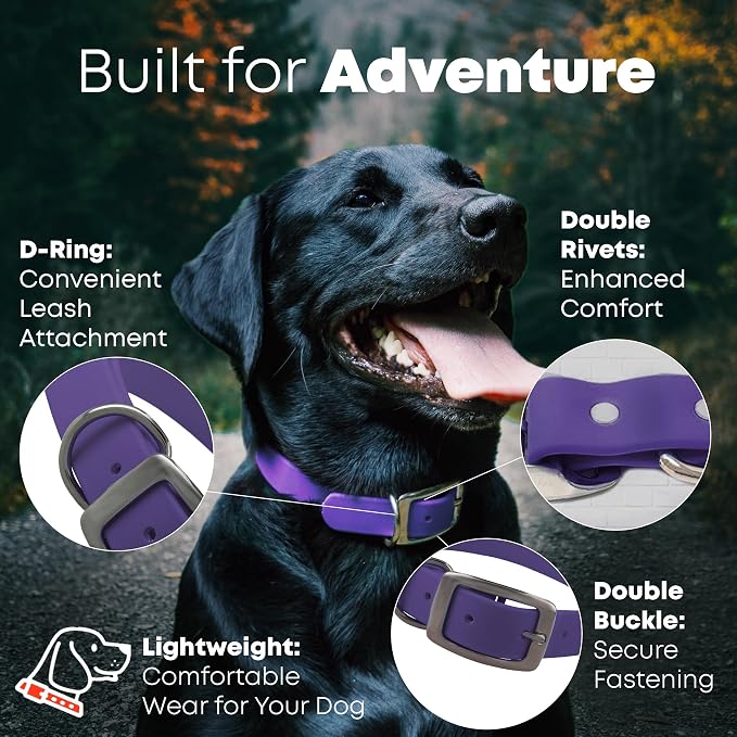 Regal Dog Products Large Purple Dog Collar with Heavy Duty Double Buckle & D Ring | Vinyl Coated, Custom Fit, Adjustable Biothane Dog Collar | Chew Resistant Waterproof Collar for Dogs
