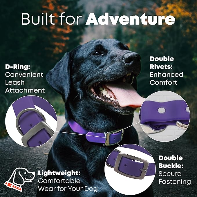 Regal Dog Products Medium Purple Waterproof Dog Collar and Leash Set | Heavy Duty Double Buckle & D Ring - 5'ft Leash | Adjustable Biothane Dog Collar | Chew Resistant Waterproof Collar for Dogs
