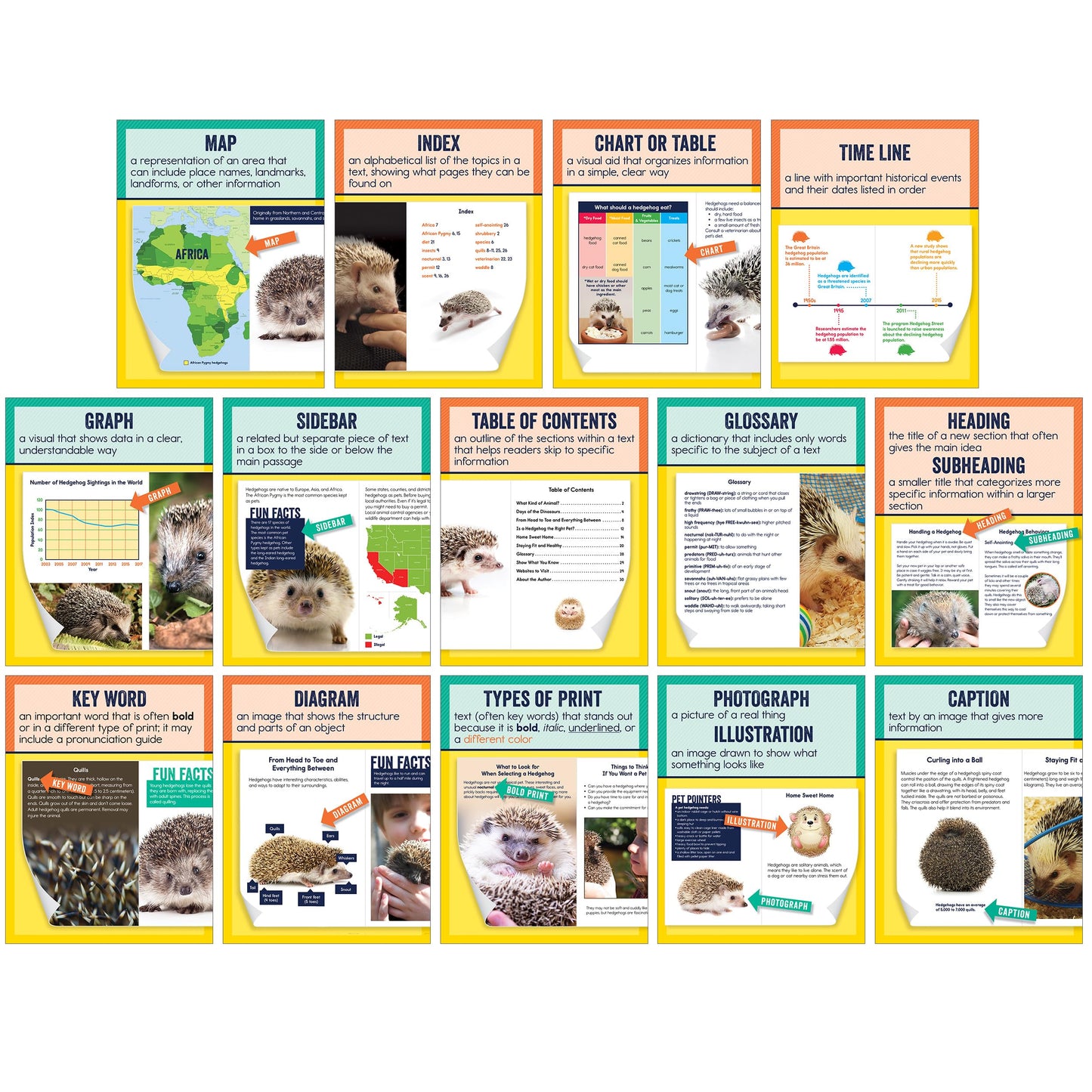 Carson Dellosa 14-Piece Nonfiction Text Posters, 8.5" x 11" Reading Comprehension Wall Decor, Classroom and Office Decorations, English Language Arts Teacher Supplies