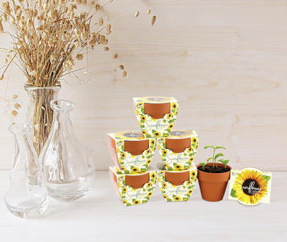 BUZZY Seeds Sunflower Daydream Collection 6-Pack Mini Terracotta Grow Pots, Includes Seed Packets and Growing Medium, Flower Starter Kit, Indoor Gardening Gift, Wedding Favors