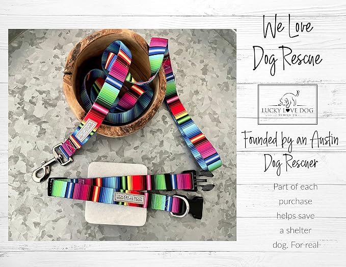 Lucky Love Dog - Adjustable Dog Collar and Leash Set with Easy Click Buckle for Small Dogs, Durable, & Comfortable Collar for Male & Female Dogs, Puppies & Adult Ones - Nacho Combo, XS