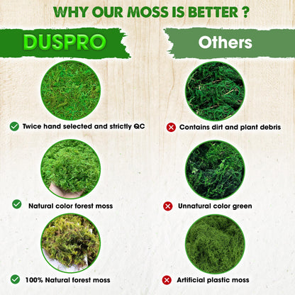 DUSPRO Green Forest Moss for Crafts, Real Dried Decorative Moss for Indoor Planter Soil Cover, Table Centerpieces, Wedding, Easter & Christmas Decor, DIY Projects, 1.25 Lbs