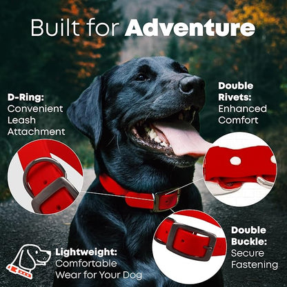 Regal Dog Products Small Red Dog Collar with Heavy Duty Double Buckle & D Ring | Vinyl Coated, Custom Fit, Adjustable Biothane Dog Collar Chew Resistant Waterproof Collar for Dogs