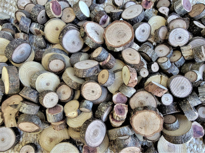 Unfinished Wood Slice Variety Pack, Extra Small Assorted Wood Slices 0.75 to 1.25 Inch Diameter, Natural Organic Vase Filler, Wedding or Home Decor, DIY Craft Projects