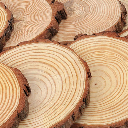 HOZEON 8 PCS 8-9 Inches Natural Wood Slices, Smooth Rustic Unfinished Wood Slices, Wood Slices for Crafts, Arts, Wedding Decoration, Christmas, Ornaments, DIY Crafts