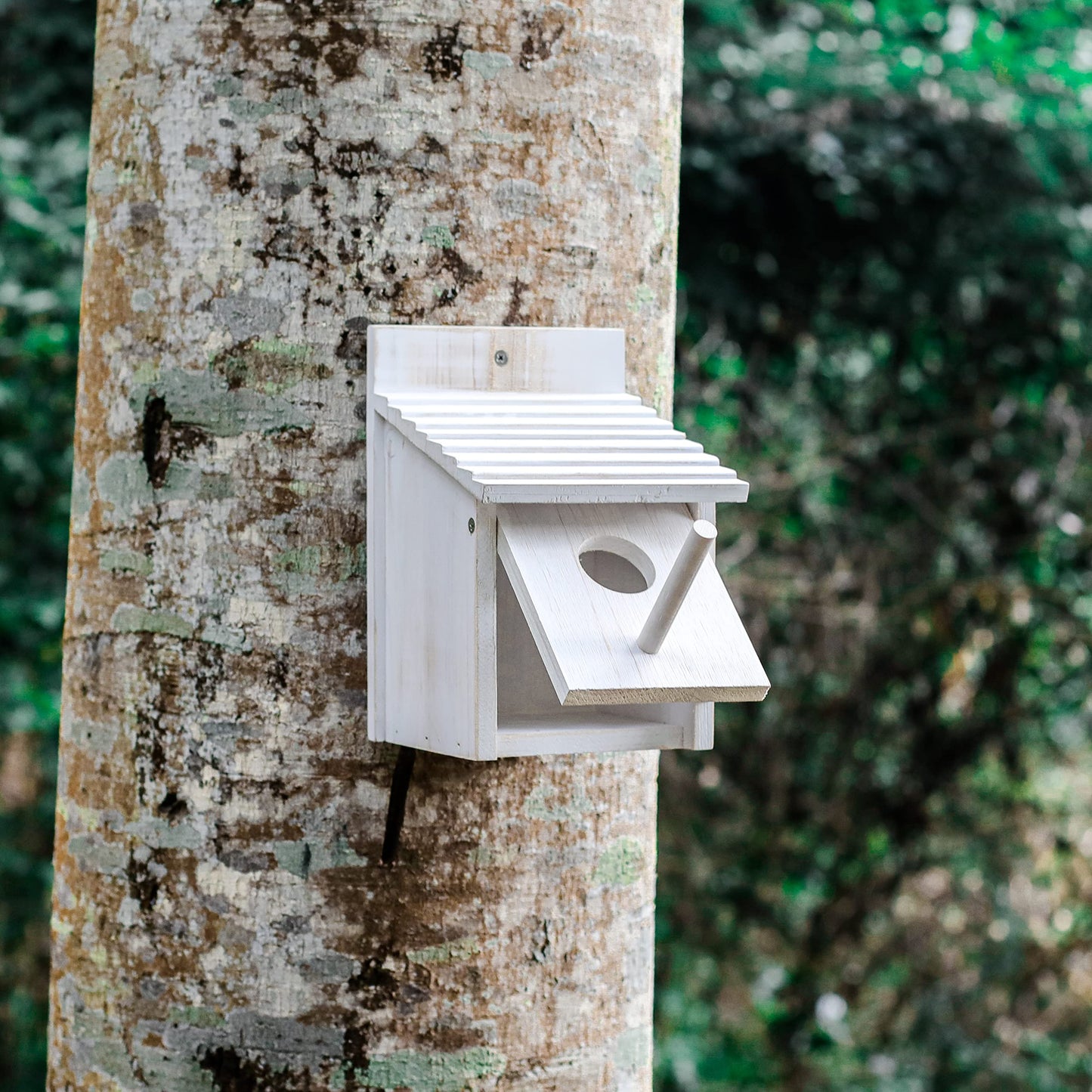 NATUREYLWL Wooden Bird House for Outside with Perch - Weatherproof Hanging Birdhouse for Finches, Bluebirds, Cardinals - Outdoor Garden Birdhouse with Easy Clean Design