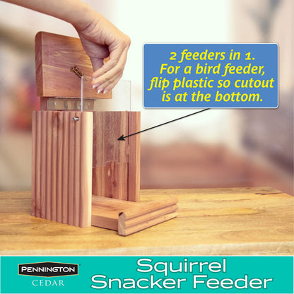 Pennington Cedar Squirrel Snacker Feeder, 2.75 LB Capacity