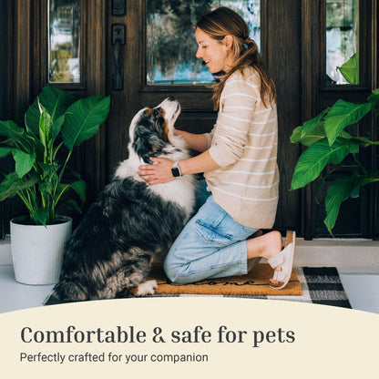 THEODORE MAGNUS Halloween Door Mat - Welcome Mat for Front Door with Non-Slip Backing - Durable Doormat - Perfect for Outside Entrance Matt - Outdoor/Indoor - Spooky - 17" x 30"