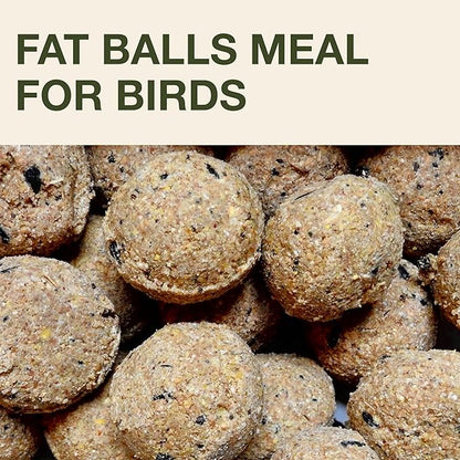 SWISSINNO Bird Feeders - No Mess Fat Ball/Suet Feeder for Outdoors Hanging - Smart Birds Lucerne Spill Proof Wild Cardinal Bird Feeder with Integrated Seed Catcher Tray - Light Blue