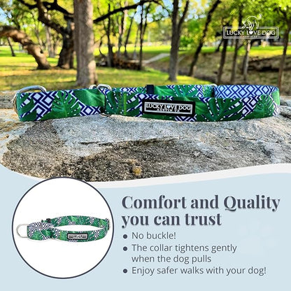 Lucky Love Dog Martingale Collar, Premium No Slip Martingale Collar for Small Boy Dogs, Great for Whippets, Greyhounds, and More (Small, Blue Laguna)