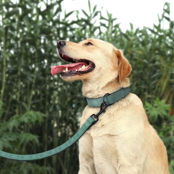 Didog Soft Padded Leather Dog Collar and Leash Set, Adjustable 4FT Faux Leather Dog Leash and Collar Set with Metal Buckle for Small Medium Large Dogs, Green, L