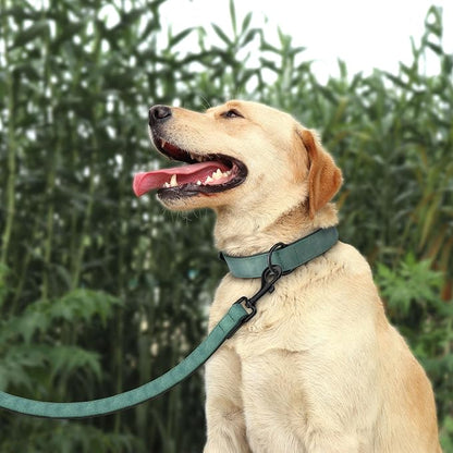 Didog Soft Padded Leather Dog Collar and Leash Set, Adjustable 4FT Faux Leather Dog Leash and Collar Set with Metal Buckle for Small Medium Large Dogs, Green, L