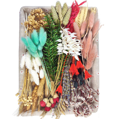 DIY Natural Dried Flowers Kit - Mixed Flowers and Foliage with Stems for Mini Bouquet, Wreath, Resin, Soap, Scrapbook, Floral Arrangement, Home Decor