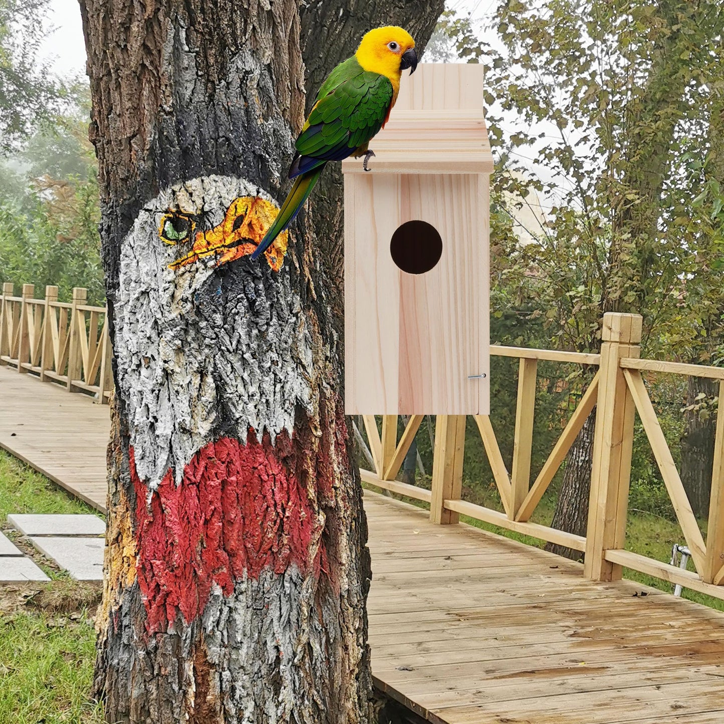 2 Pack Bird Houses for Outside,Blue Bird Box House for Outside,Cedar Finch Swallow Wren Hummingbird Birdhouse,DIY
