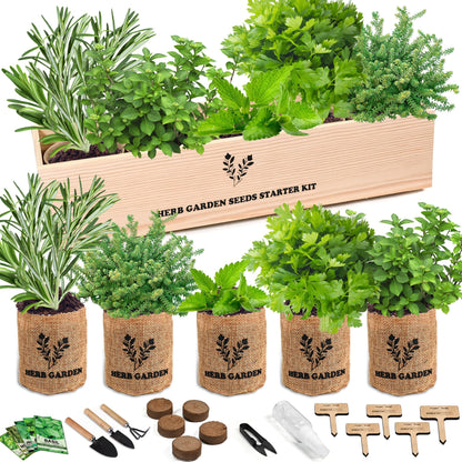 Indoor Herb Garden Starter Kit, Including A Complete Gardening Tools for Women Parents Gift