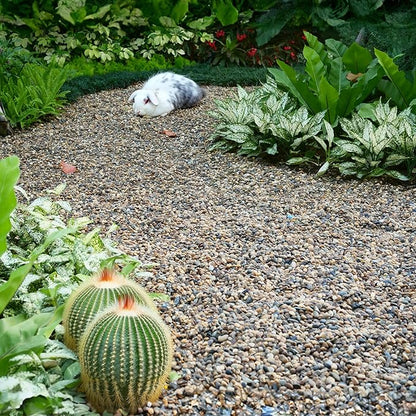 Aquarium Gravel 10 lbs, 3-6mm Fish Tank Gravel, Succulent Cactus Pea Gravel for Indoor Plants, River Rocks for Gardening, Flower Pots, Vase Fillers, Garden Landscaping