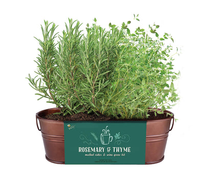 BUZZY Seeds Indoor Herb Garden Kit | Grow Rosemary and Thyme with Non-GMO Seeds | DIY Windowsill Planter Starter Set for Kitchen Countertop, Indoor Gardening, Holiday Gift, Home Decor