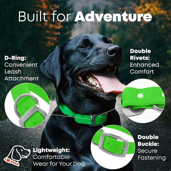 Regal Dog Products Small Light Green Dog Collar with Heavy Duty Double Buckle & D Ring | Vinyl Coated, Custom Fit, Adjustable Biothane Dog Collar Chew Resistant Waterproof Collar for Dogs