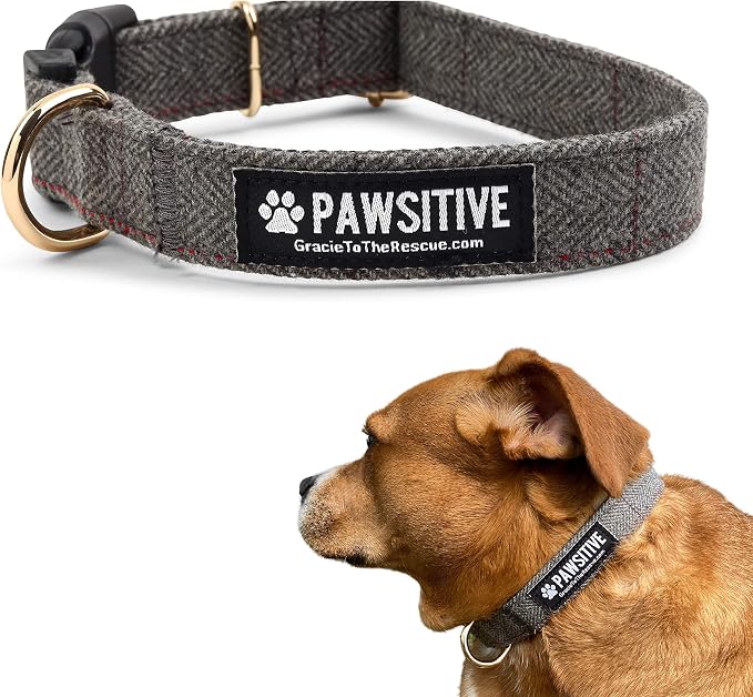Pawsitive Wool Dog Collar - Hypoallergenic Dog Collar, Great Dog Collar for Sensitive Skin, Soft Collar for Dogs, Soft Organic Dog Collar Eco-Friendly (Large, Gray & Leash)