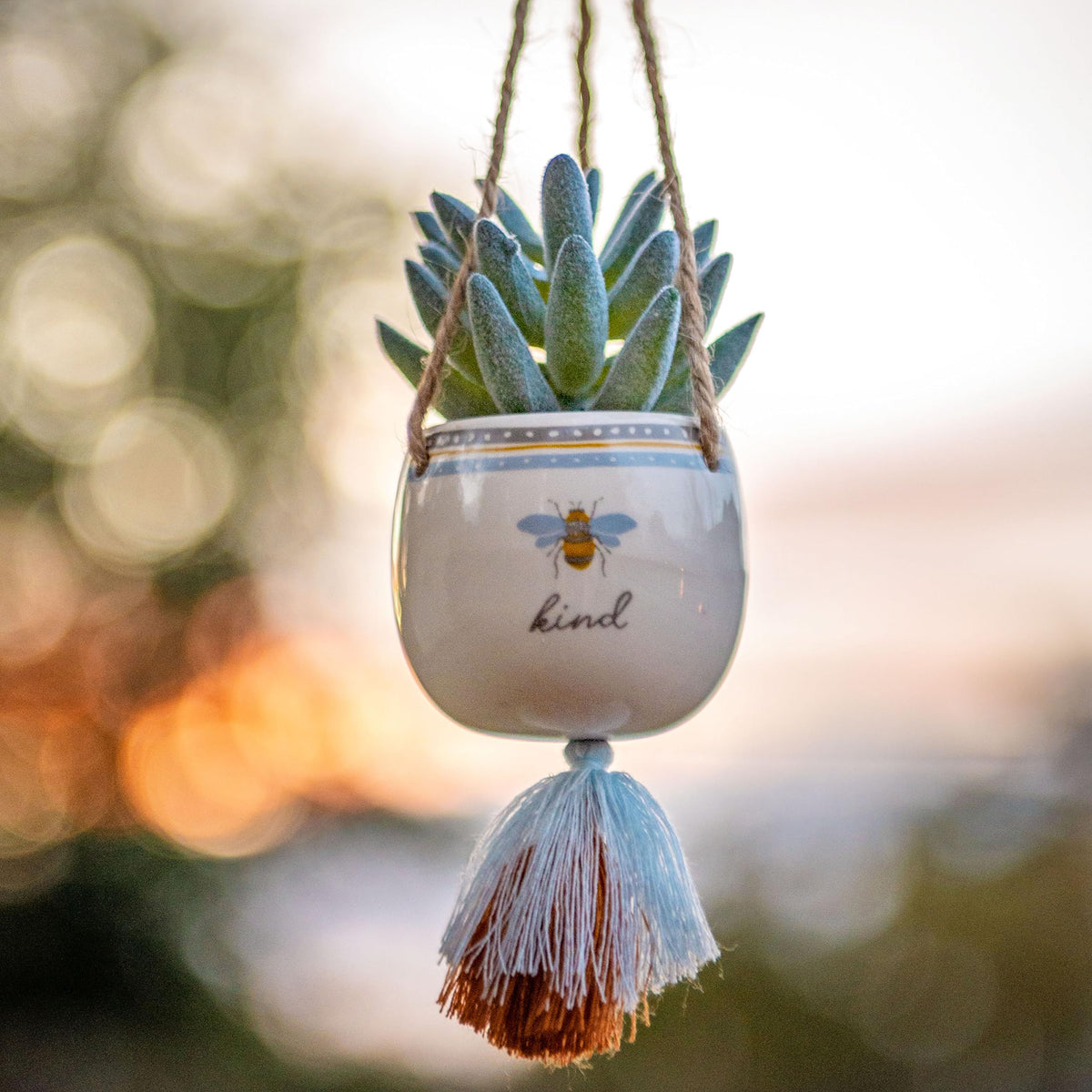 Karma Shaped Hanging Succulent Pot Sloth