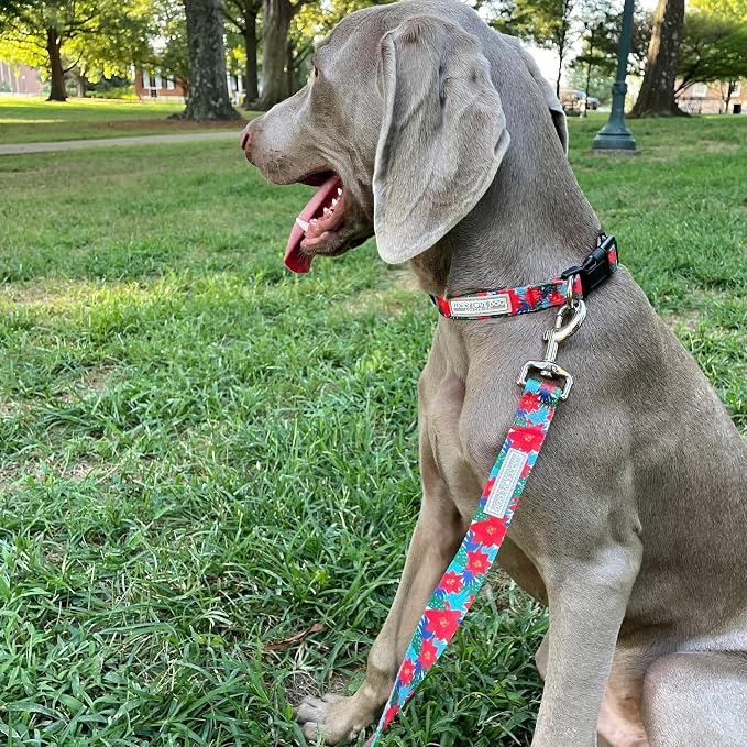 Lucky Love Dog - Easy Click Noel Dog Collar with Leash Set Combo, Durable & Comfortable for Male & Female Dogs, Pet Collar for Small Dogs, Secure Fit - Noel Combo, Small