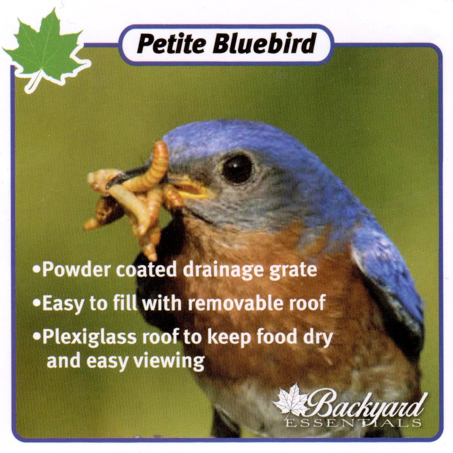 Backyard Essentials Petite Bluebird Feeder with Plexiglass Roof and Powder Coated Steel Mesh Basket Bird Feeder Tray