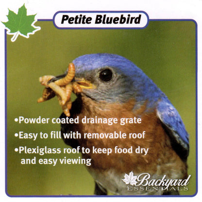 Backyard Essentials Petite Bluebird Feeder with Plexiglass Roof and Powder Coated Steel Mesh Basket Bird Feeder Tray