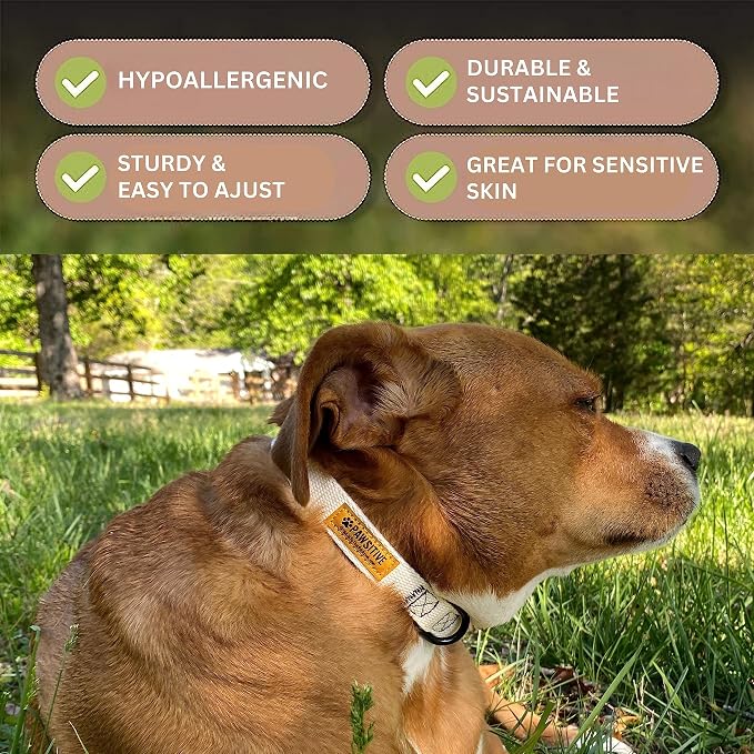 Pawsitive Hemp Dog Collar - Yellow Fall Dog Collar - Super Soft Hypoallergenic Lining. Great for Small, Medium and Large Dogs; Medium Yellow