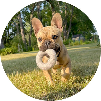 Wool Dog Ring Toy 2-Pack – Organic Eco Friendly Dog Rings for Small & Medium Dogs – Natural Non Toxic Dog Toys – Creature ECO
