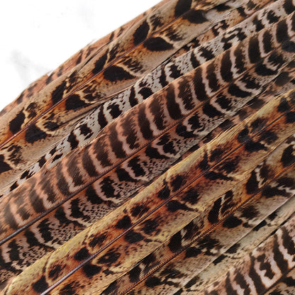 20pcs Female Pheasant Feather Natural Ringneck Tails Feathers 6-8inch 15-20cm for Crafts Home Wedding Party Performance DIY Decoration Pheasant Feather,Female Pheasant Feathers